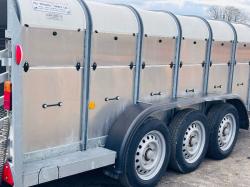 UNUSED IFOR WILLIAMS 14X4 LIVESTOCK TRAILER *YEAR 2021*VIDEO*